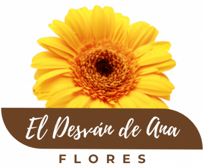 Ramo Gerberas desdeFlores Cuarte -